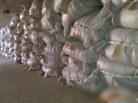 臨沂市鑫潤藥業中藥材金銀花技術轉讓項目介紹